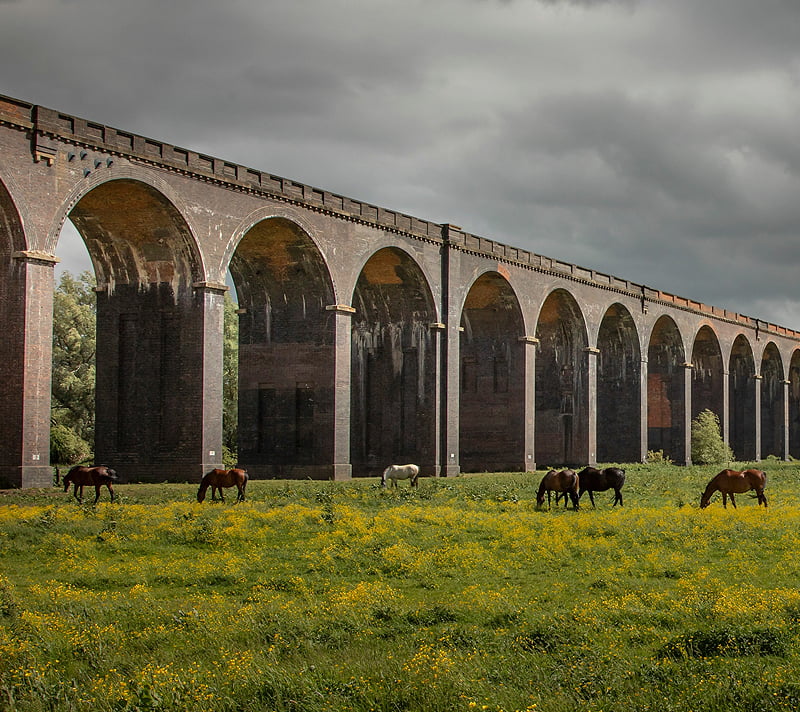 About Welland Procurement